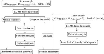 Lipidomics Identified Lyso-Phosphatidylcholine and Phosphatidylethanolamine as Potential Biomarkers for Diagnosis of Laryngeal Cancer